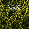 3 — Vivid Vibe: Pineapple