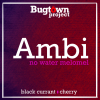 1 — Ambi