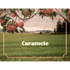 2 — Caramele