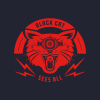 4 — Black Cat Sees All