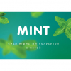 1 — Mint