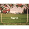 91 — Nuovo