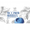 96 — Vaccinium Myrtillus Berry Cider Zero Dosage Brut 2023