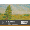 5 — OLD PINE / Старая Сосна