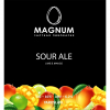 4 — MAGNUM Sour Ale Mango & Lime