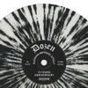 9 — Dozen Stout