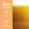 41 — Дома Галеева