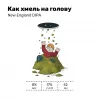 1 — Как хмель на голову