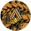 16 — WheatPunk