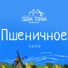 9 — Пшеничное / Hefeweizen