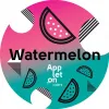 13 — Watermelon Cider