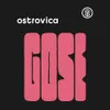 13 — GOSE