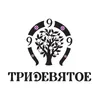 Тридевятое