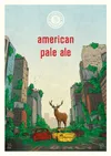 9 — American Pale Ale