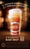 1 — Black Sheep Pub Lager