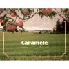 2 — Caramele