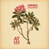 19 — Herbal