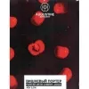 10 — Вишневый  портер