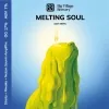 28 — MELTING SOUL 