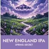 729 — Spring Secret