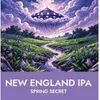 8 — Spring Secret