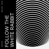 3 — Follow The White Rabbit
