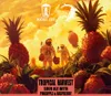 4 — Tropical Harvest