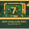 24 — Plants On TV