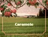 2 — Caramele