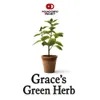 8 — Grace's Green Herb
