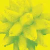 4 — Banana Smoothie