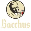 65 — Bacchus Vlaams Oud Bruin