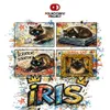 19 — iRIS
