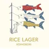 12 — Koinobori
