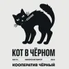 11 — Кот в Чёрном