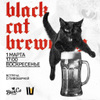 Meet The Brewer - Black Cat Brewery