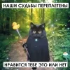 25 — Оракул