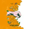 25 — Citrus Buddy