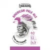 4 — American Pale Ale (APA)