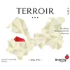 10 — Terroir: Ломоносовский район 2022 год