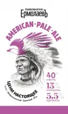 4 — American Pale Ale (APA)