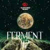 6 — Ferment 42