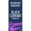 16 — Black Currant Sour Ale