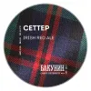 4 — СЕТТЕР