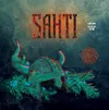 3 — Sahti