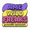 23 — Groseille De Spontanée