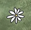 12 — Paganel