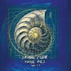 15 — Spiral Code