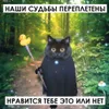 3 — Оракул