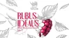 98 — Rubus Ideaus Berry Cider Zero Dosage Brut 2023